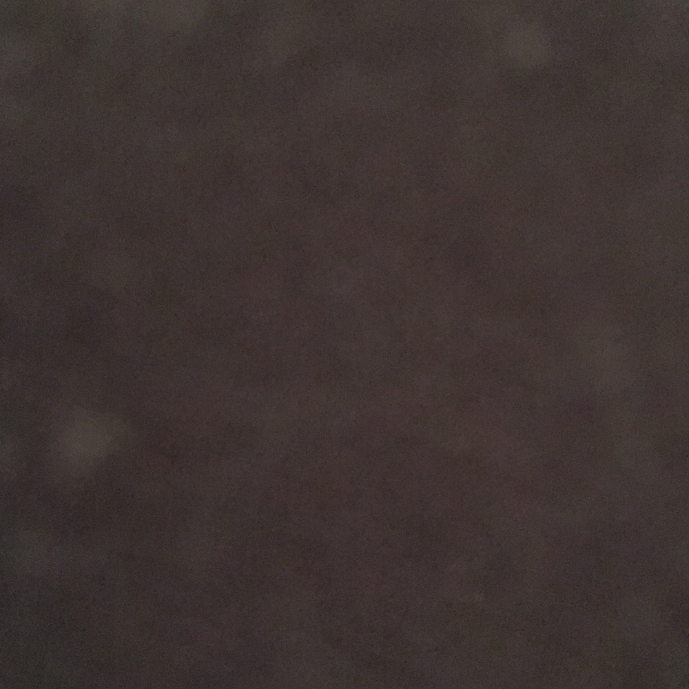 Meet your Posher, Maddie